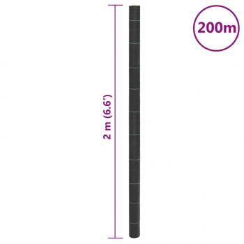 Unkrautvlies Schwarz 2x200 m PP