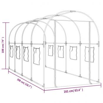 Gewächshaus Transparent 160x400x190 cm PVC & Stahl