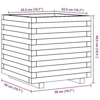 Pflanzkübel 50x50x49,5 cm Massivholz Douglasie