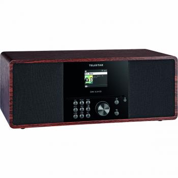 Telestar DIRA S 24 CD DAB+ / FM Stereo-Radio mit CD-Player Holz