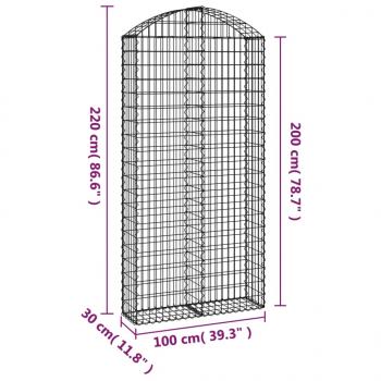 Gabione mit Hochbogen 100x30x200/220 cm Verzinktes Eisen