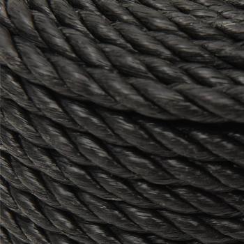 Arbeitsseil Schwarz 16 mm 100 m Polypropylen