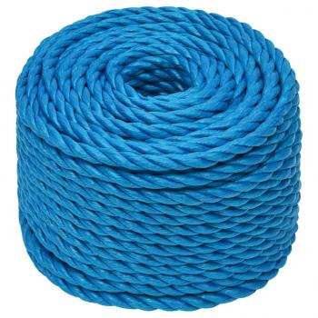 Arbeitsseil Blau 20 mm 50 m Polypropylen