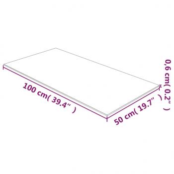 Tischplatte Transparent 50x100 cm Hartglas