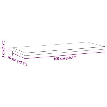 Wandregale 2 Stk. 100x40x3 cm Schwarz Edelstahl