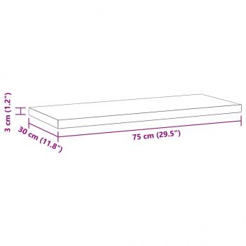 Wandregale 2 Stk. 75x30x3 cm Schwarz Edelstahl