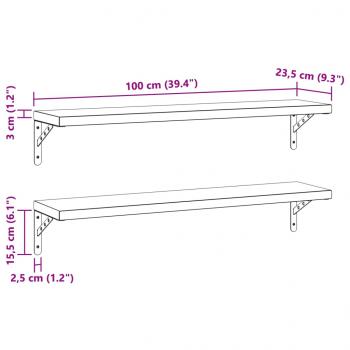 Wandregale 2 Stk. 100x23,5 cm Schwarz Edelstahl