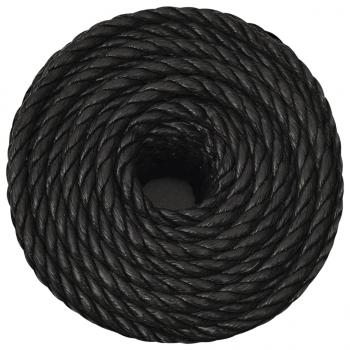 Arbeitsseil Schwarz 14 mm 50 m Polypropylen