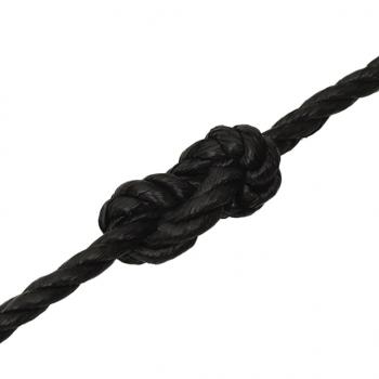 Arbeitsseil Schwarz 12 mm 100 m Polypropylen