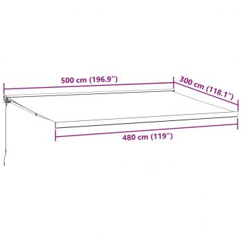 Markise Manuell Weinrot 500x300 cm