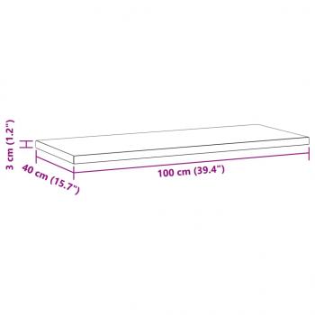 Wandregale 2 Stk. 100x40x3 cm Silbern Edelstahl