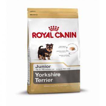 ARDEBO.de Royal Canin Yorkshire Terrier Puppy 500g