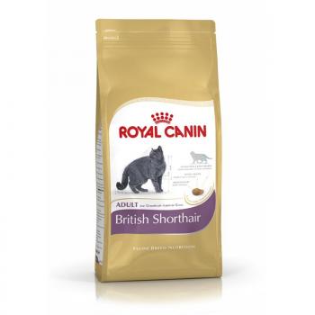 ARDEBO.de Royal Canin Feline British Shorthair Adult 400g