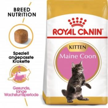 ARDEBO.de Royal Canin Feline Maine Coon Kitten 400g