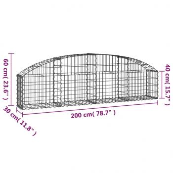 Gabione mit Hochbogen 200x30x40/60 cm Verzinktes Eisen