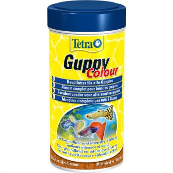 ARDEBO.de Tetra Guppy Color 250 ml