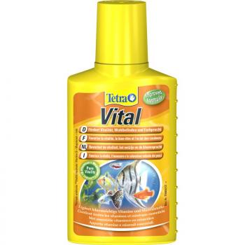 ARDEBO.de Tetra Vital 100 ml