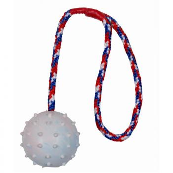 ARDEBO.de Trixie Ball am Seil, Naturgummi  6 cm 30 cm