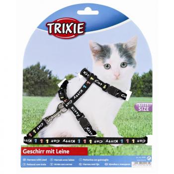 ARDEBO.de Trixie Kätzchengeschirr mit Leine, Nylon, 21-33 cm/8 mm, 1,20 m