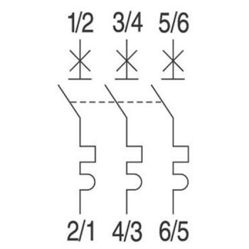 GE / AEG EPC63B20   Leitungsschutzschal ter Unibi