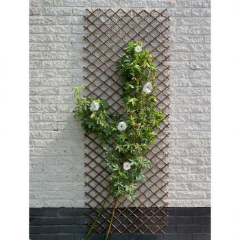 Nature Garten-Rankgitter 60x180 cm Natur Weide Braun