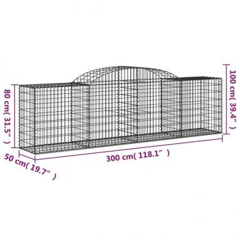 Gabione mit Hochbogen 300x50x80/100 cm Verzinktes Eisen