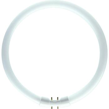 ARDEBO.de - MASTER TL5 Circular 40W/830 1CT/10 MASTER TL5 Circular - Fluorescent lamp - Lamp