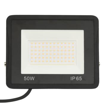 LED-Fluter 2 Stk. 50W Kaltweiß