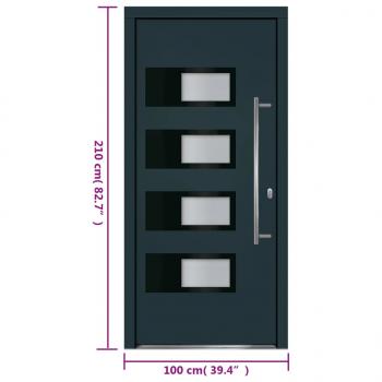 Haustür Anthrazit 100x210 cm Aluminium und PVC