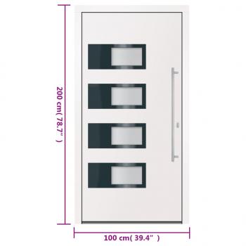 Haustür Weiß 100x200 cm Aluminium und PVC