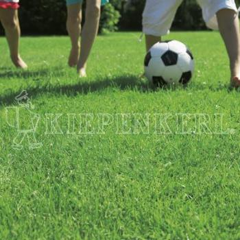 ARDEBO.de Kiepenkerl RSM 2.3 Gebrauchsrasen Spielrasen mit Poa supina 10 kg