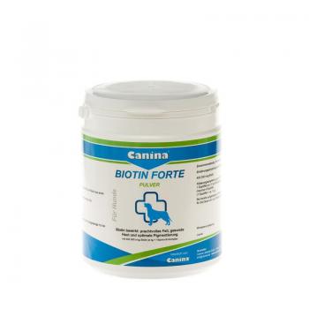 ARDEBO.de Canina Biotin Forte Pulver 500g