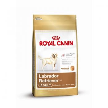 ARDEBO.de Royal Canin Labrador Retriever Adult 3kg