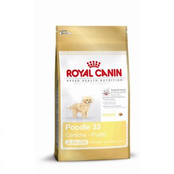 ARDEBO.de Royal Canin Poodle Puppy 3kg