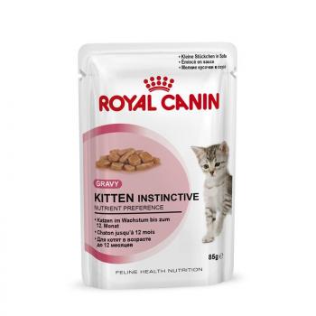 ARDEBO.de Royal Canin Feline Kitten in Soße P.B. Multipack 12x85g