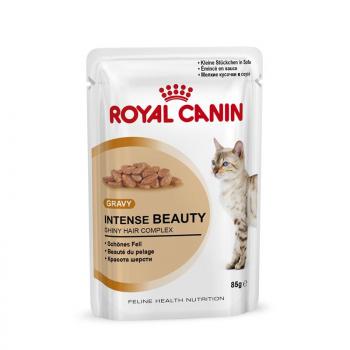 ARDEBO.de Royal Canin Feline Hair & Skin in Soße P.B. Multipack 12x85g