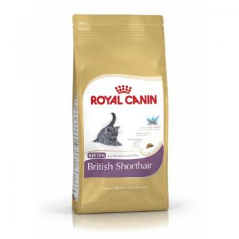 ARDEBO.de Royal Canin Feline British Shorthair Kitten 2kg