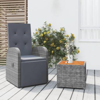 ARDEBO.de - 2-tlg. Garten-Lounge-Set Grau Poly Rattan & Massivholz Akazie