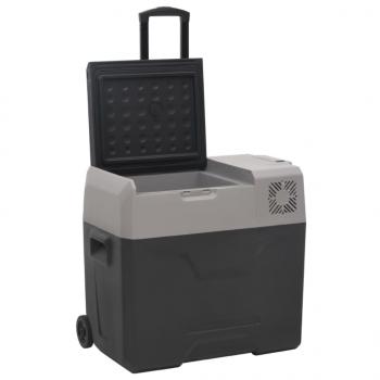 Kühlbox mit Rollen und Adapter Schwarz & Grau 30 L Polypropylen