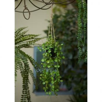 ARDEBO.de - Emerald Künstlicher Ceropegia-Hängebusch im Topf 50 cm 