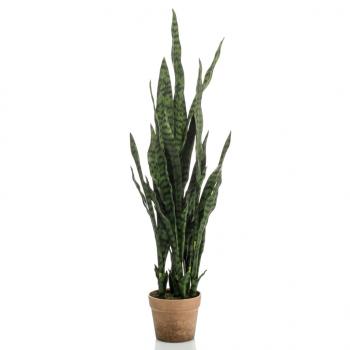 Emerald Künstliche Pflanze Sanseveria im Topf 84 cm