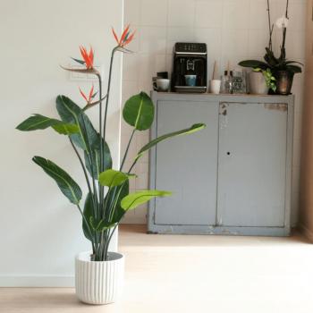 ARDEBO.de - Emerald Künstliche Pflanze Strelitzia im Topf mit Blumen 120 cm