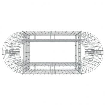 Gabionen-Hochbeet Verzinktes Eisen 120x50x100 cm