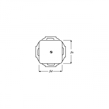 Busch-Jaeger 2527-212 Zentralscheibe mit Tragring, Duro 2000 Si, weiß (2CKA001710A0623)