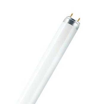 Osram L 30 W/76 OSRAM NATURA® T8 30 W/76