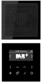 ARDEBO.de Jung DABLS1SW Smart Radio DAB+ Set Mono, schwarz