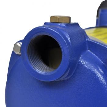 Kreiselpumpe 1300 W 5100 L/h Blau