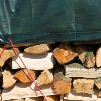 Nature Holzplane 3x4 m PE Grün 6072418 