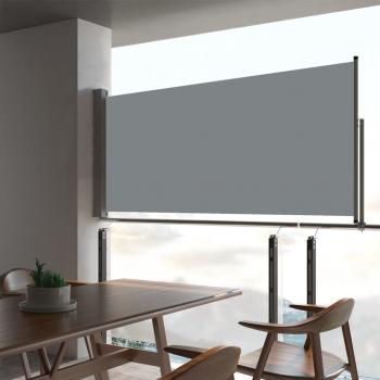 ARDEBO.de - Ausziehbare Seitenmarkise 60×300 cm Grau