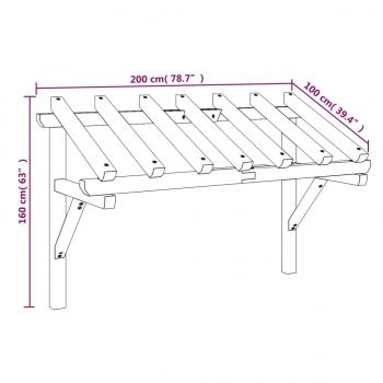 Türvordach 200x100x100 cm Kiefer Massivholz